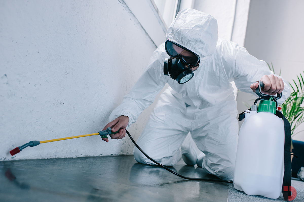 Professional Pest Control in Dubai | Safe & Effective Solutions