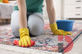 Reliable Carpet Cleaning Services for a Healthier Environment